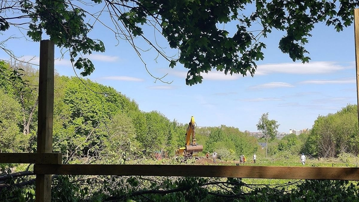 Власти обратились в полицию из-за вырубки деревьев у Щелоковского хутора