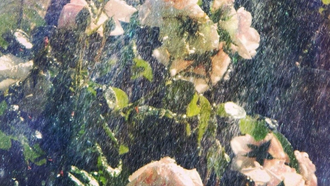 Ливни придут в Нижний Новгород в ближайшие часы