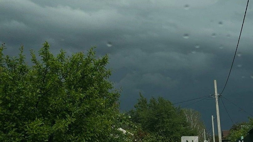 Опубликован прогноз погоды в Нижнем Новгороде на вторую половину июня