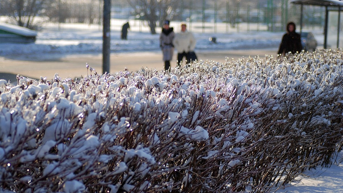 Снег придет очень рано: синоптики назвали точную дату начала зимы – прогноз удивляет