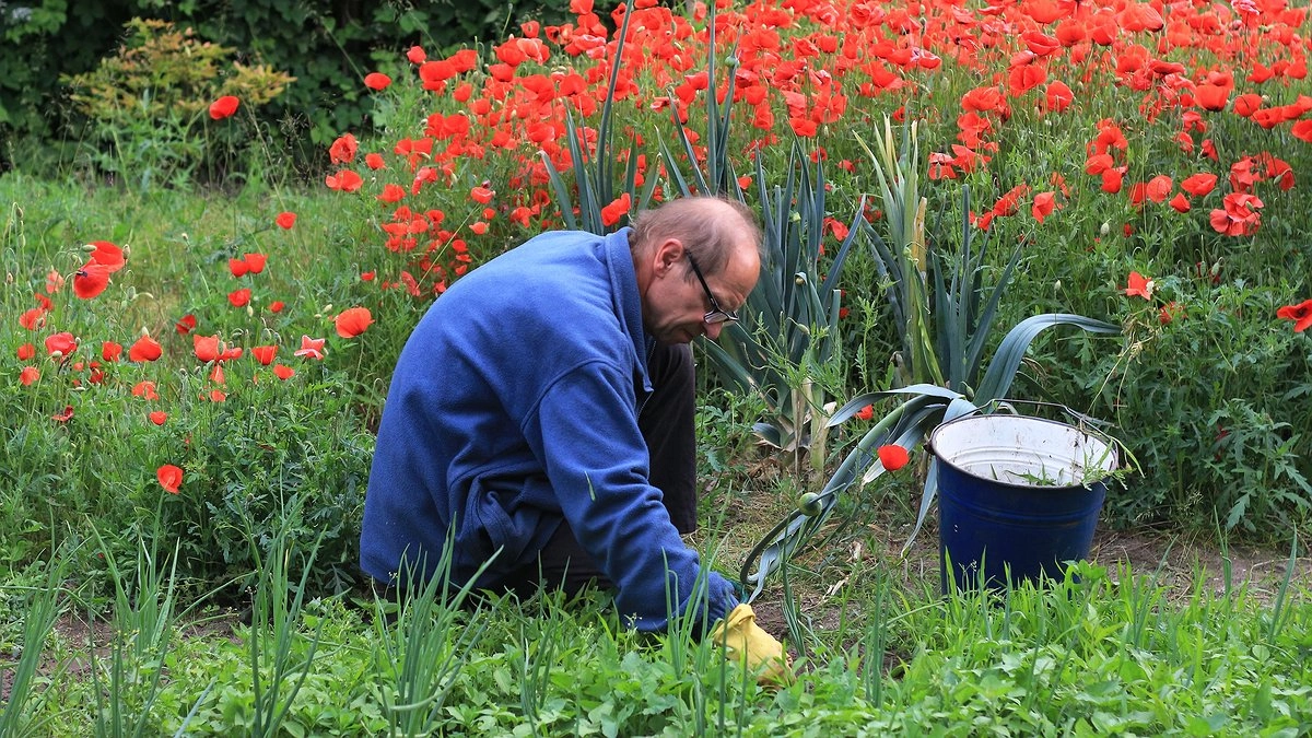Какие овощи стоит посеять до 25 октября: взойдут весной без проблем и вредителей — особое внимание грядке