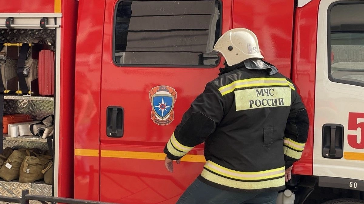 Лес загорелся под Нижним Новгородом 25 июня