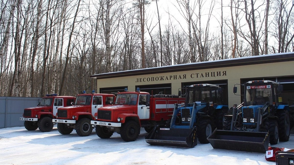 Шалабаев поручил лесникам повторить прошлогодний результат с отсутствием пожаров