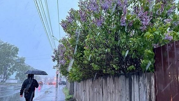 Главная картинка новости: Снег в мае в Нижегородской области: хронология событий с 1999 года