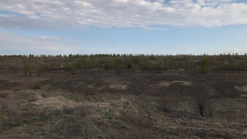 Сеймовская птицефабрика уничтожила плодородную почву на площади в 20 га