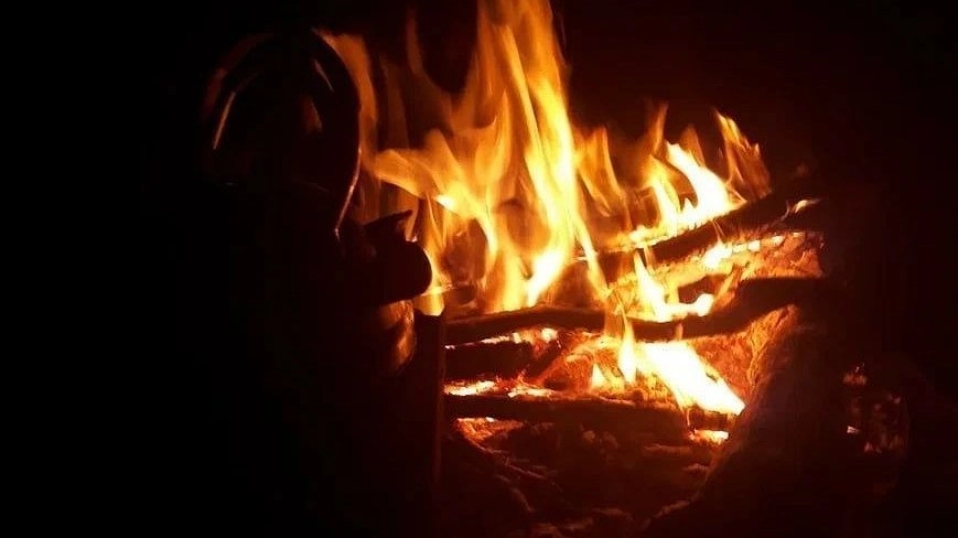 Трава горела в лесу в Рекшино Нижегородской области