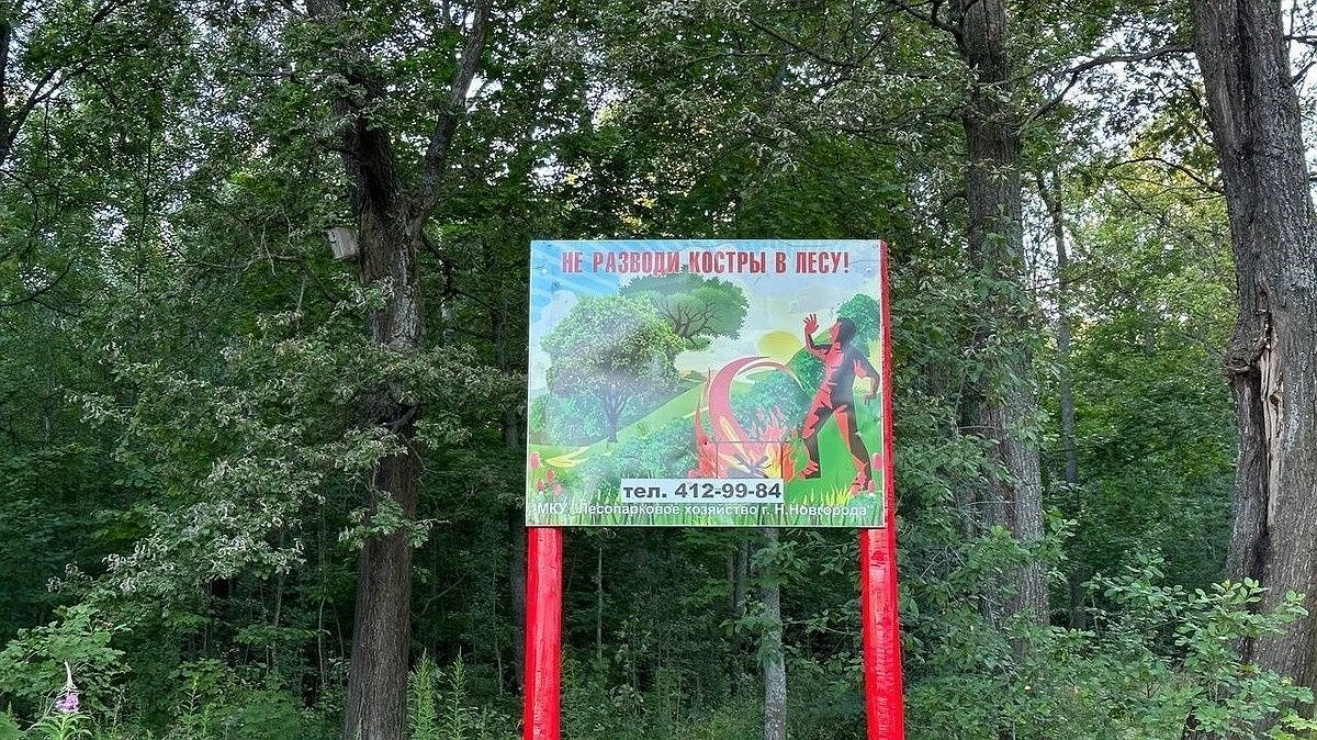 Оперативный штаб по борьбе с лесными пожарами создан в Нижнем Новгороде