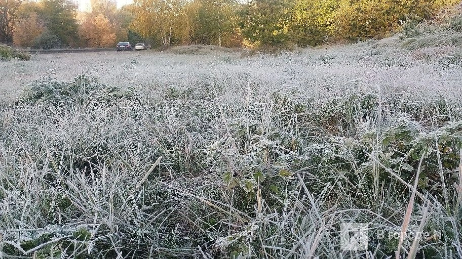 Заморозки до -2°С ожидаются в Нижегородской области