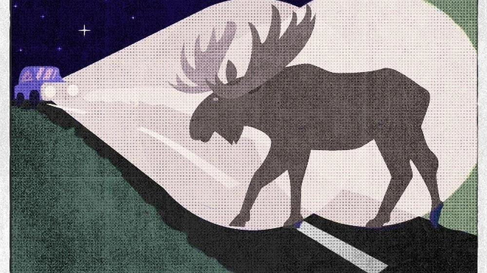 Водитель ВАЗа пострадал в ДТП с лосем в Чкаловском округе