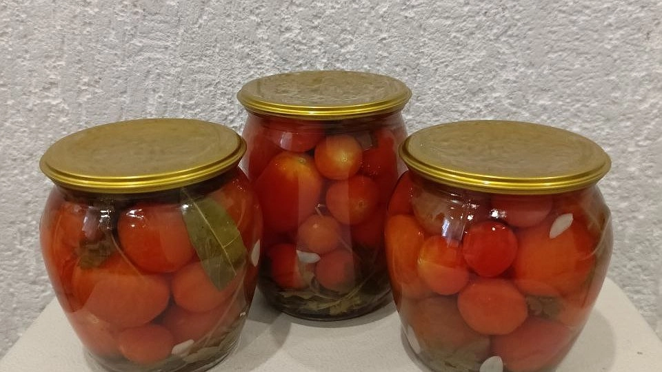 Малосолим помидоры в кастрюле: одна ночь — и эта потрясающая закуска моментально сметается со стола