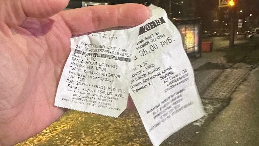 Нижегородский Минтранс ответил на жалобы Татьяны Гриневич на автобусы