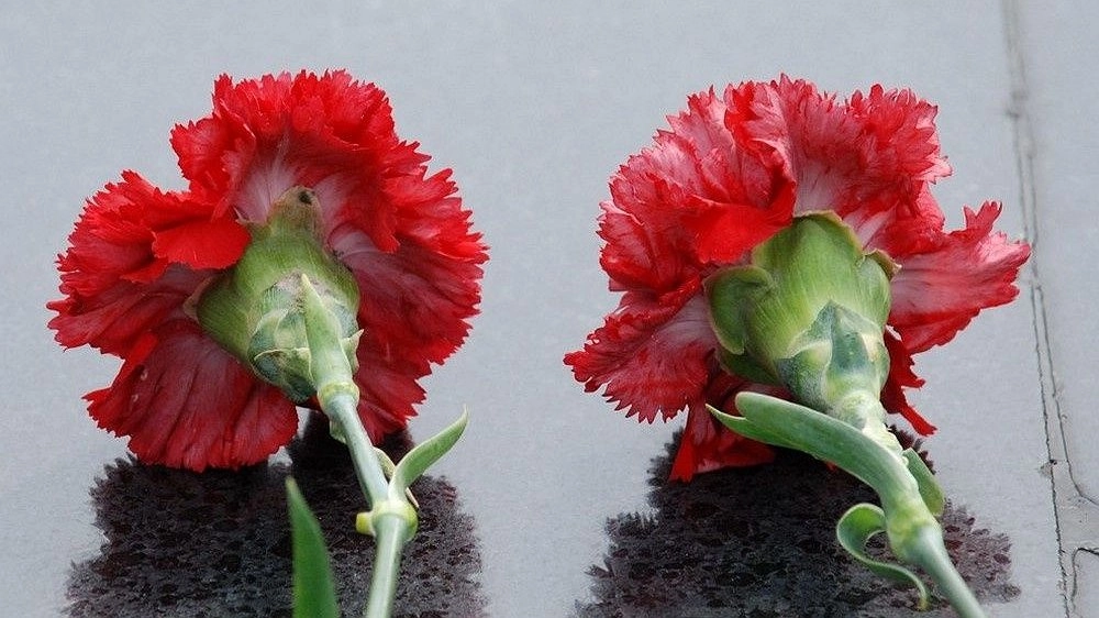 С погибшим на СВО Олегом Середневым простились в Нижегородской области