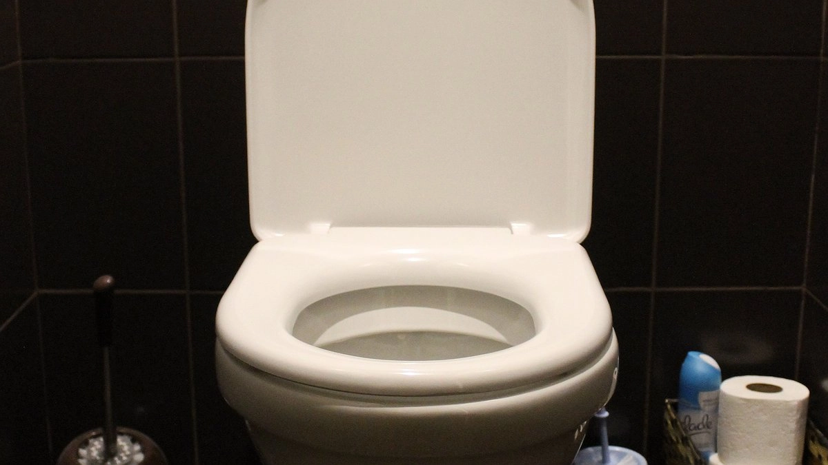 Как убрать налёт и запах в туалете: 200 мл перекиси 3% на полчаса без вмешательства