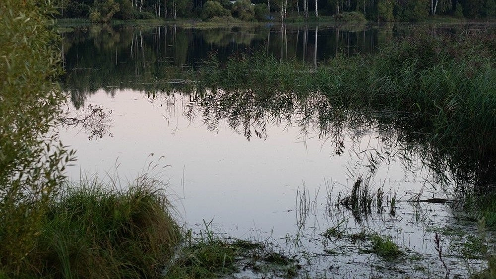 Тело 13-летней девочки достали из озера в Нижнем Новгороде