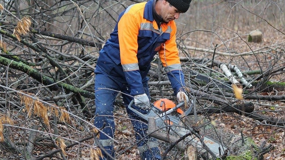 Переехавшая в Нижегородскую область канадская семья начала строить дом