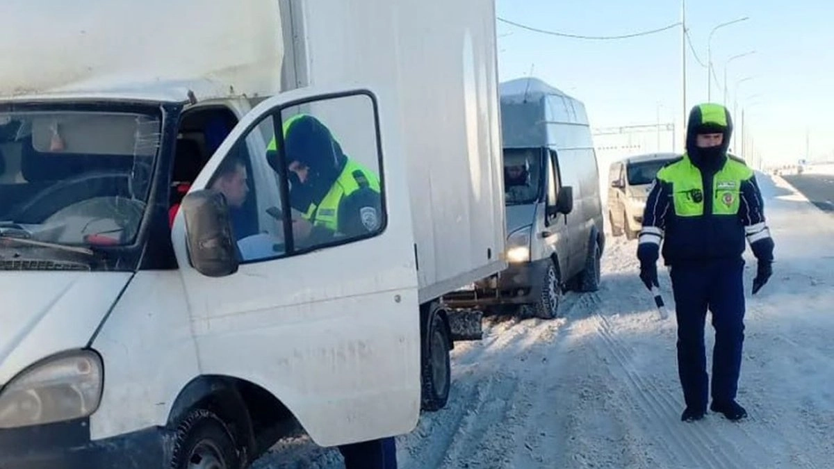 Главная картинка новости: В Арзамасском районе полиция проверила более 50 машин с иностранными номерами