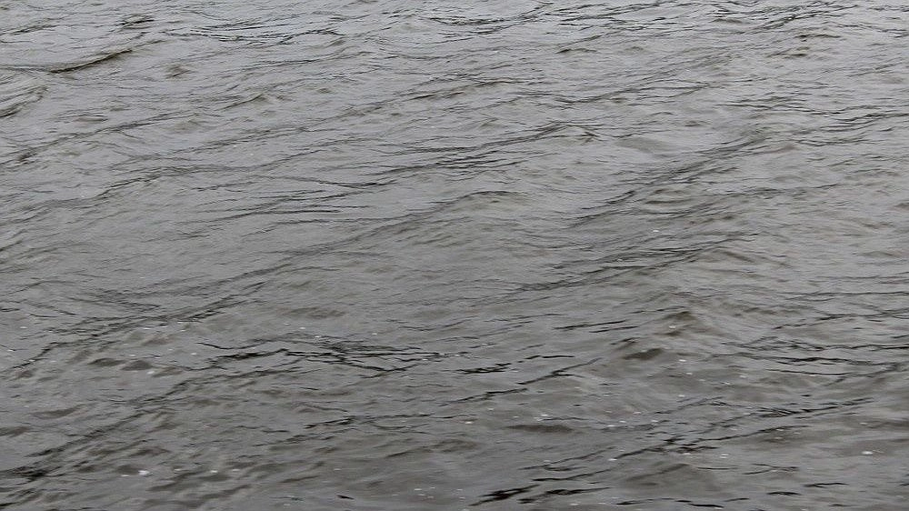 Главная картинка новости: Нижегородцам рассказали о водяных амебах, поедающих мозг человека