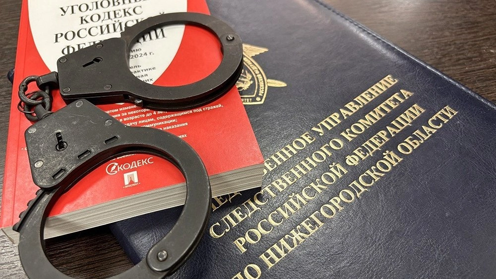 В Сосновском районе женщину обвиняют в нападении на сожителя во время ссоры