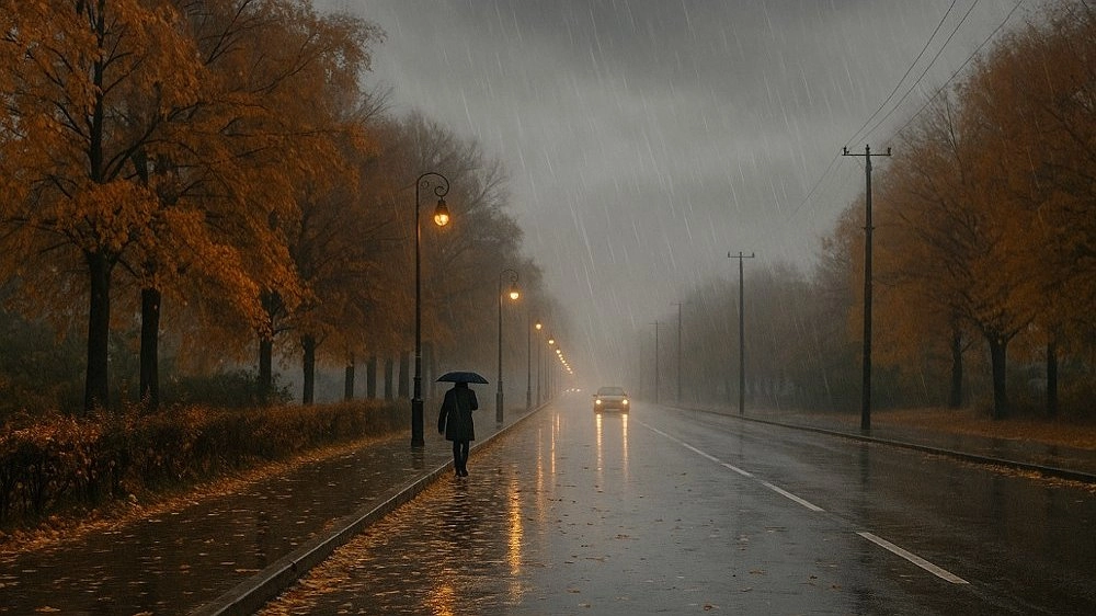 Облачный и дождливый день ожидается в Нижнем Новгороде 15 ноября