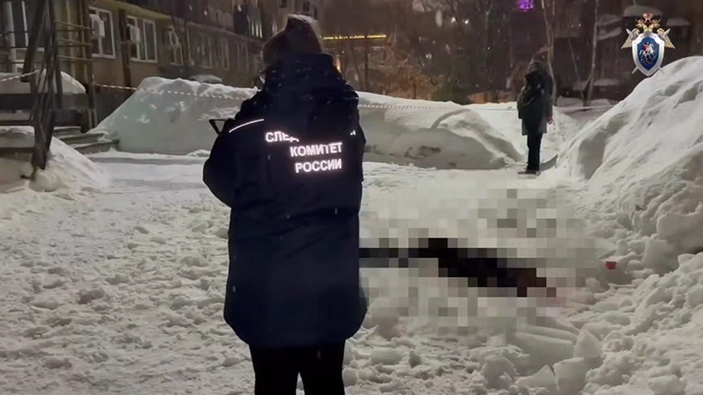 Трагическое дело о падении наледи на нижегородку взял на контроль глава СКР