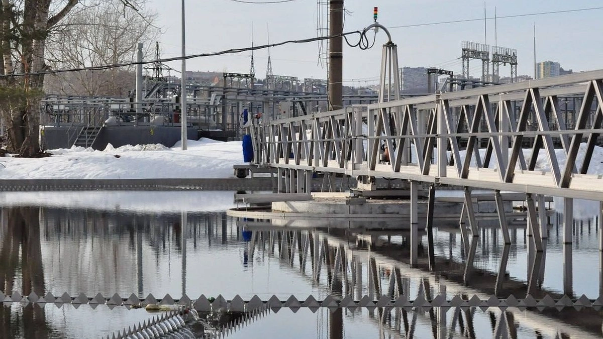 Утки и собаки облюбовали нижегородскую станцию аэрации