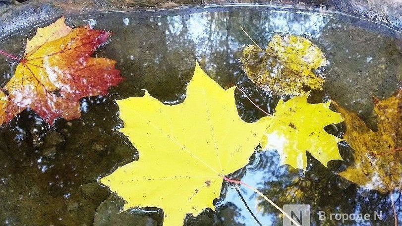 Как справиться с осенней хандрой, рассказали нижегородцам