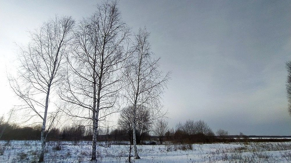 Пасмурную и теплую погоду обещают нижегородцам в выходные 9-10 ноября