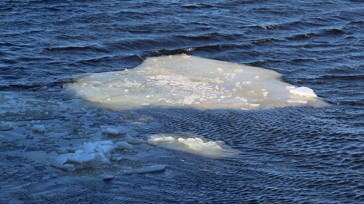 Трагедия на воде унесла две жизни в Лысковском округе