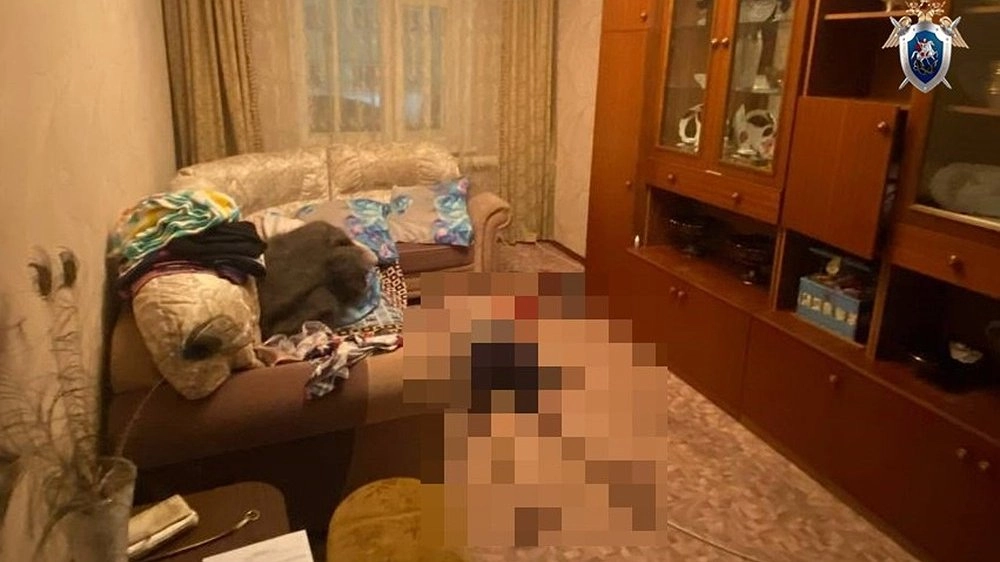 Жителя Богородского округа обвиняют в нападении на пенсионерку и краже украшений