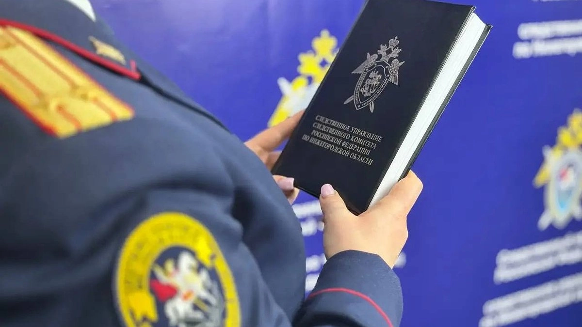 Житель Нижнего Новгорода получил более 6 лет колонии за покушение на знакомого