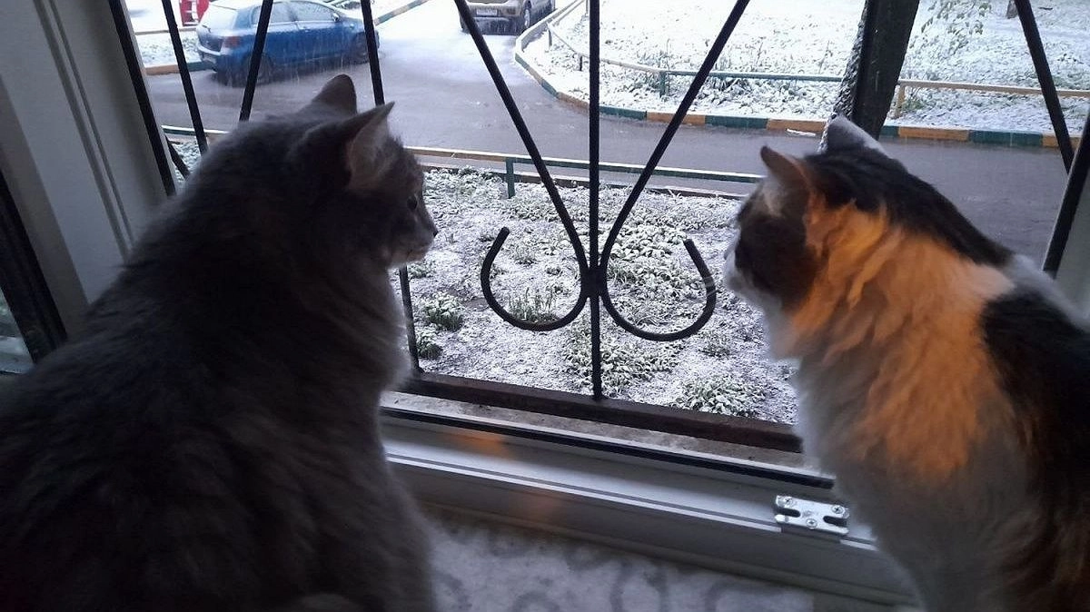 Отопительный сезон возобновляют в Нижнем Новгороде из-за холода