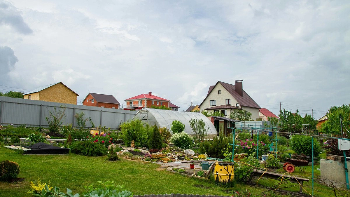 Осенью присыпаю грядки в теплице особым «порошком» — за зиму почва самостоятельно оздоравливается