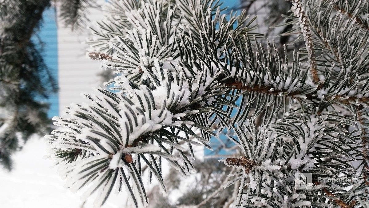 Главная картинка новости: Теплую и снежную зиму прогнозируют в Нижегородской области
