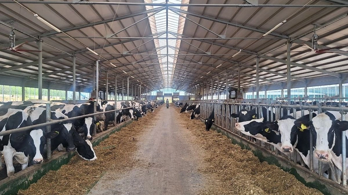 Новую ферму построили в Нижегородской области за 320 млн рублей
