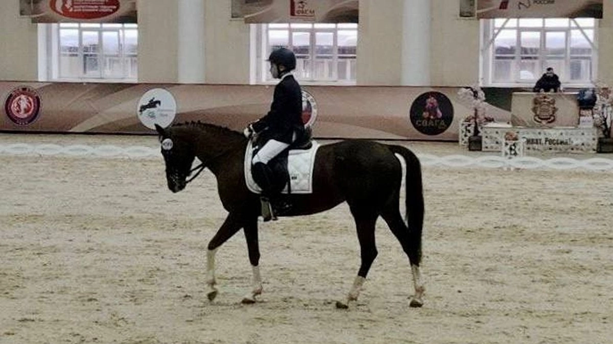 Нижегородские спортсмены взяли «бронзу» на Кубке РФ по паралимпийской выездке