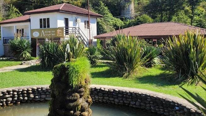 Главная картинка новости: Чача и многое другое: стало известно, что везут туристы домой, возвращаясь из Абхазии