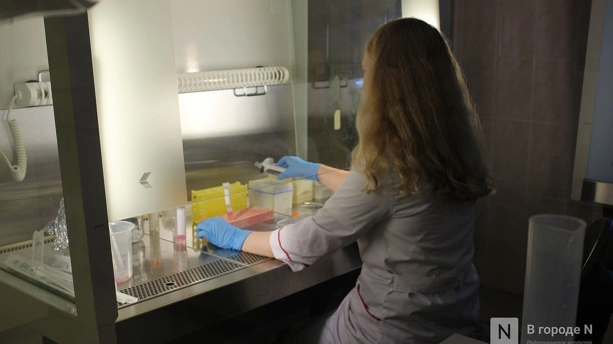 Препарат для лечения миеломы тестируют в Нижнем Новгороде