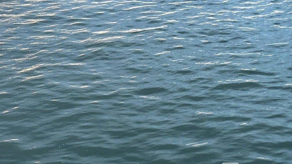 Тело мужчины достали из озера Святого в Дзержинске