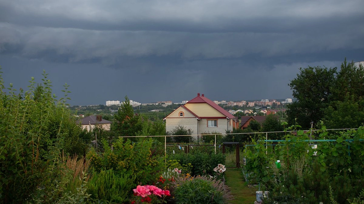 Главная картинка новости: Американца привезли в русскую деревню - и был поражён: для них богатство, для нас - бедность