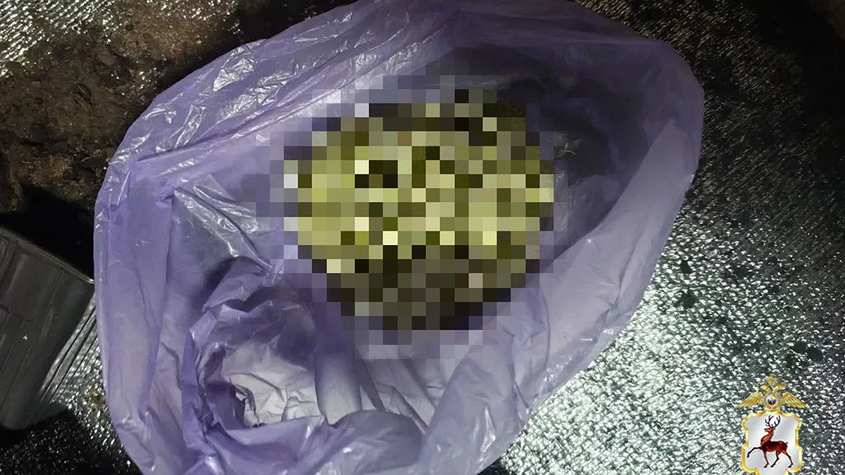 На Бору полицейские пресекли распространение запрещенных веществ