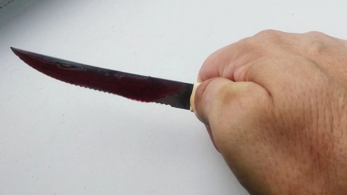 14-летняя девочка зарезала мать в элитном коттеджном поселке