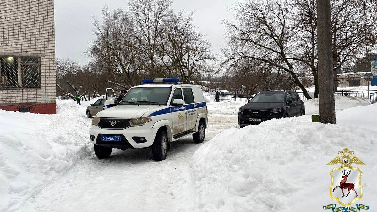 Главная картинка новости: В Дзержинске пассажиров остановленной машины арестовали за угрозу полиции