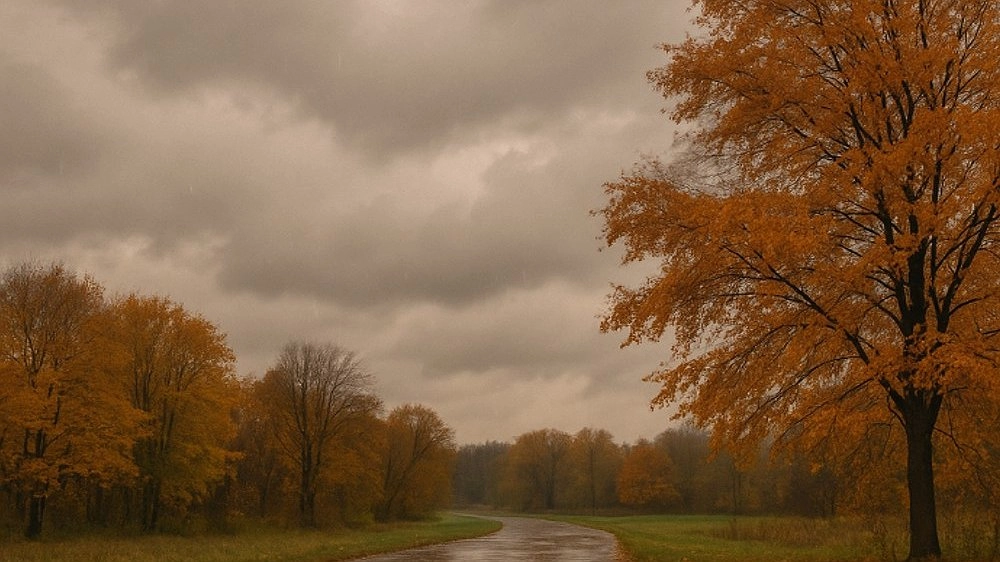22 октября в Нижнем Новгороде ожидается пасмурная погода с дождём