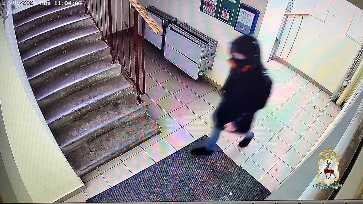 Сын подруги обокрал квартиру нижегородки на миллион рублей