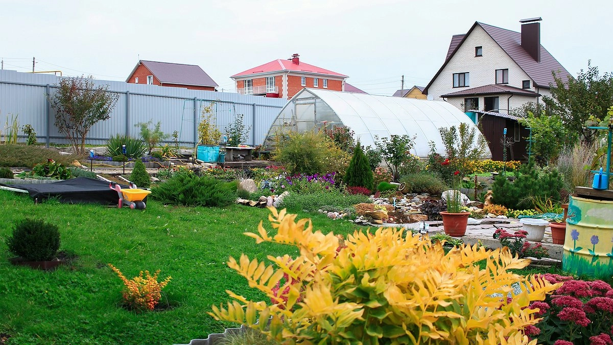 Сентябрь — время подготовки сада к зиме: что нужно делать, чтобы урожай в следующем сезоне был богатым, а растения не болели