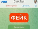 Фейковый аккаунт нижегородского министра Ольги Гусевой появился в Telegram