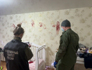 Стали известны жуткие подробности убийства женщины и ребенка в Балахне