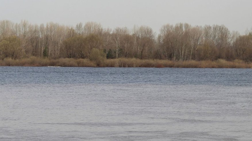 Главная картинка новости: Похолодание до +1°C ждет нижегородцев в выходные