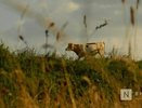 Более ста агроклассов открылось в школах Нижегородской области