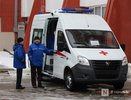 Гадюка напала на 11-летнего ребенка в Нижегородской области
